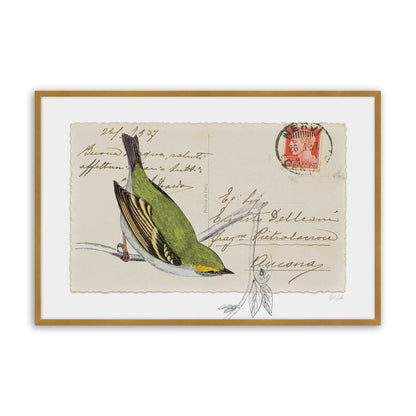 [Color:Polished Gold], Picture of art in a Polished Gold frame