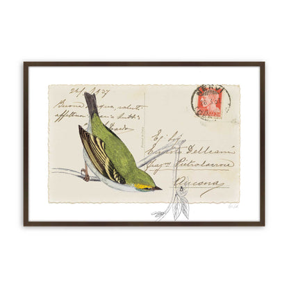 [Color:Belvinder Brown], Picture of art in a Belvinder Brown frame