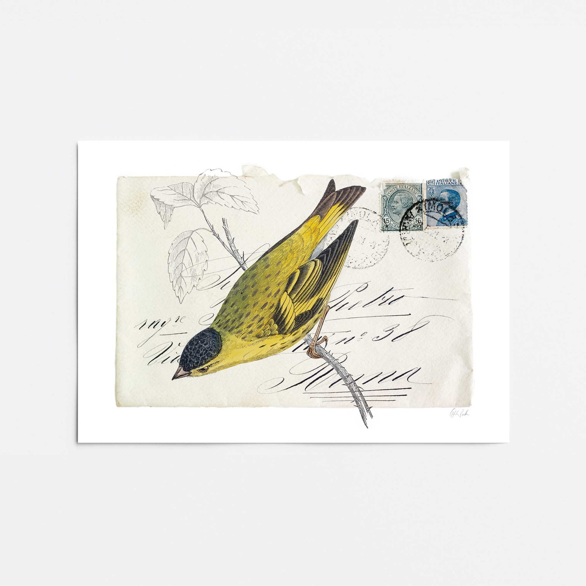 [Color:Rolled Print], Picture of close up of art