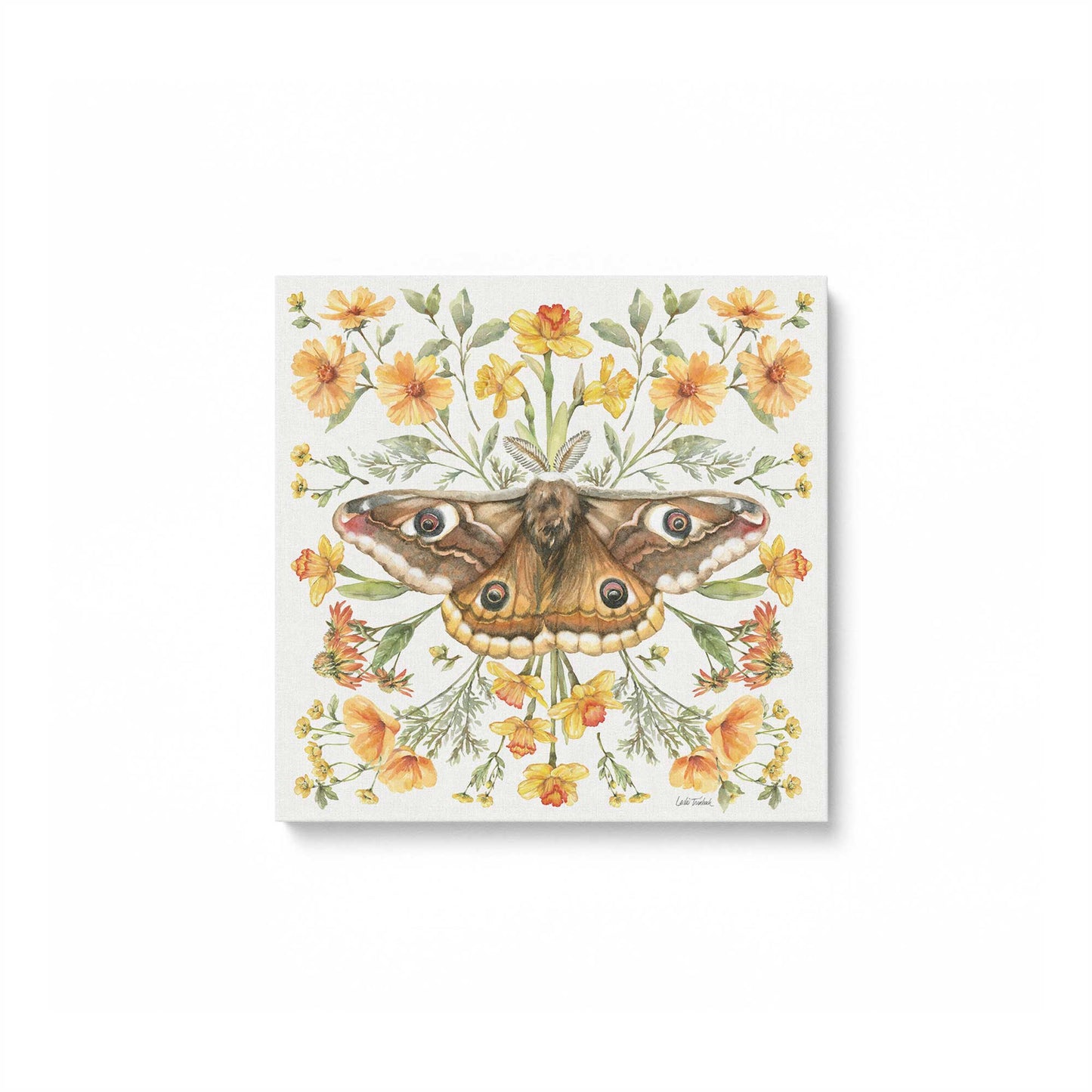 [Color:Stretched Canvas], Picture of art