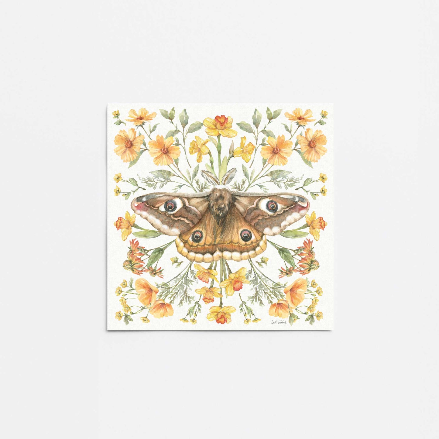 [Color:Rolled Print], Picture of close up of art