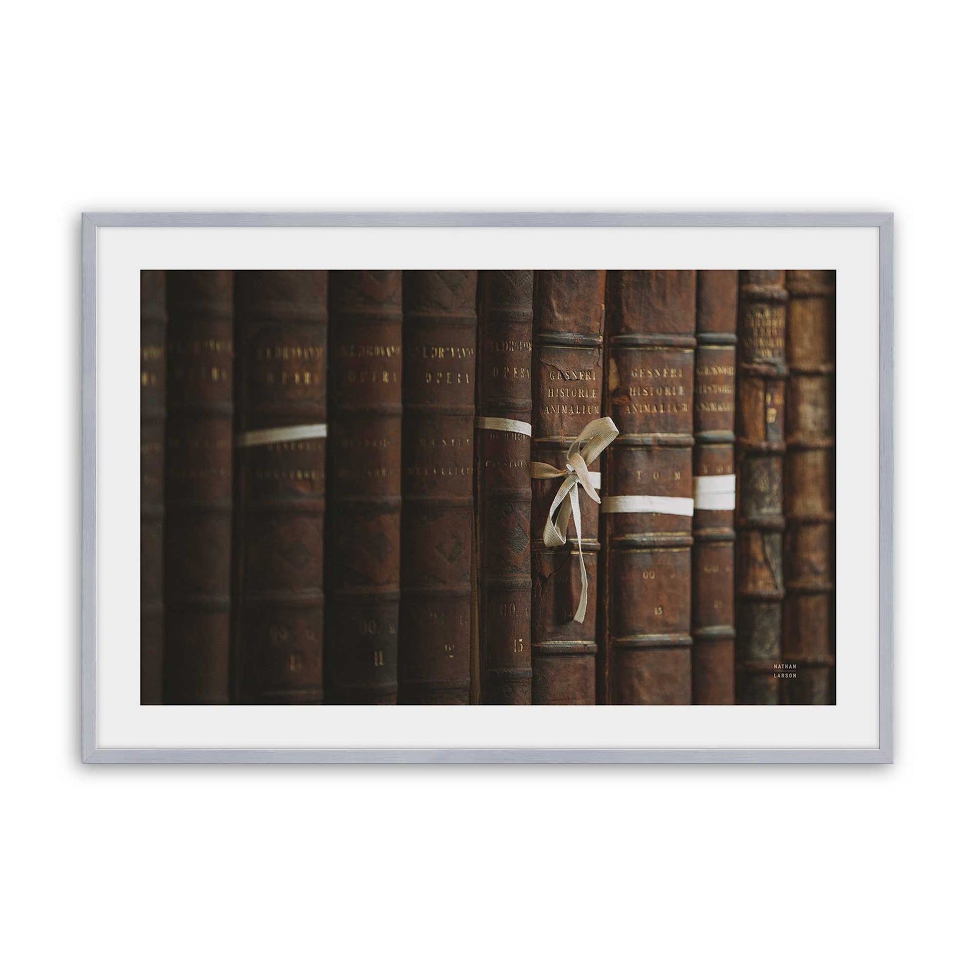 [Color:Polished Chrome], Picture of art in a Polished Chrome frame