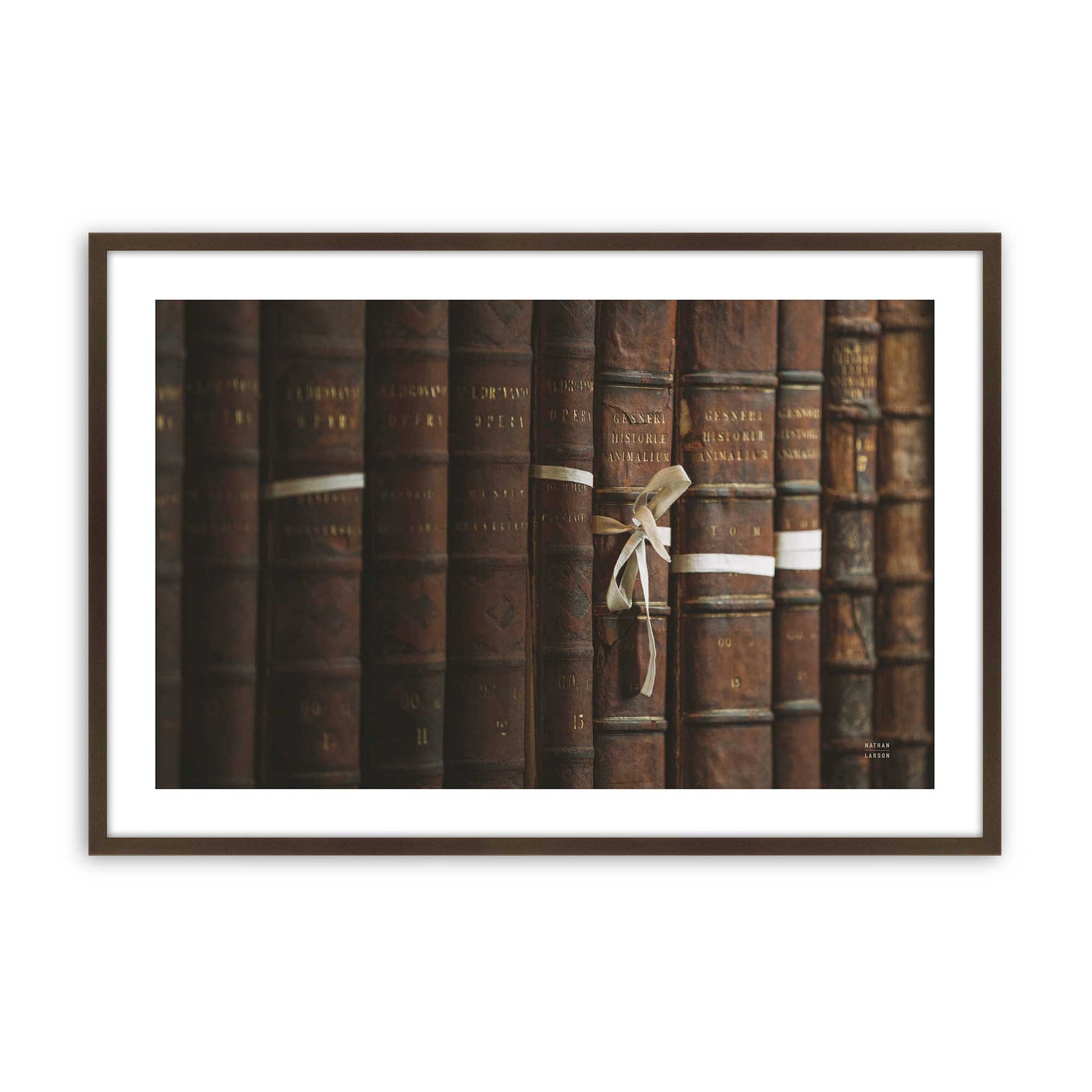 [Color:Belvinder Brown], Picture of art in a Belvinder Brown frame
