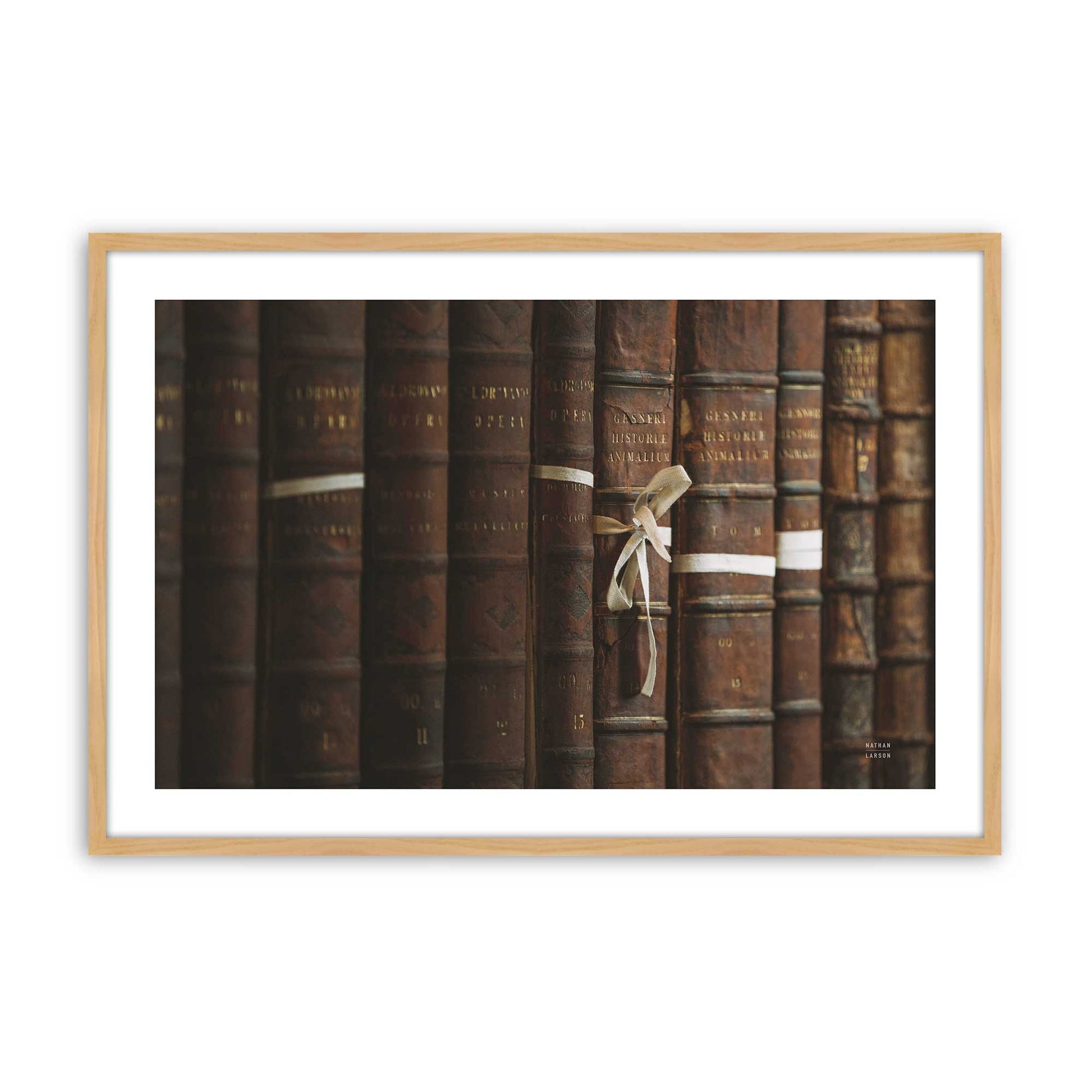 [Color:American Maple], Picture of art in a American Maple frame