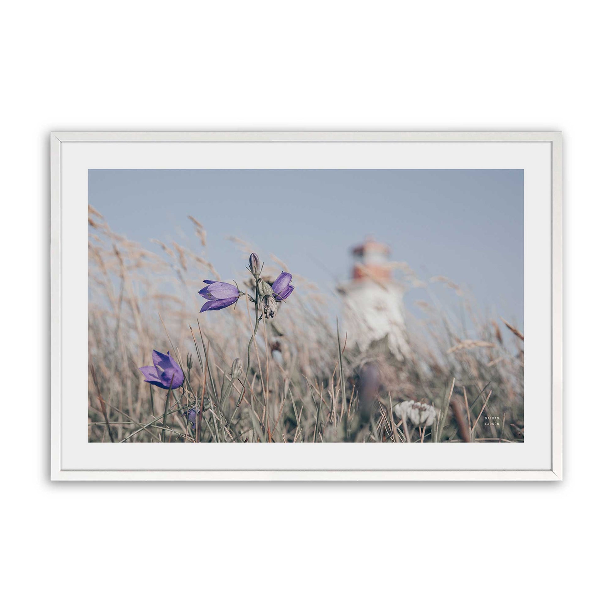 [Color:Opaque White], Picture of art in a Opaque White frame