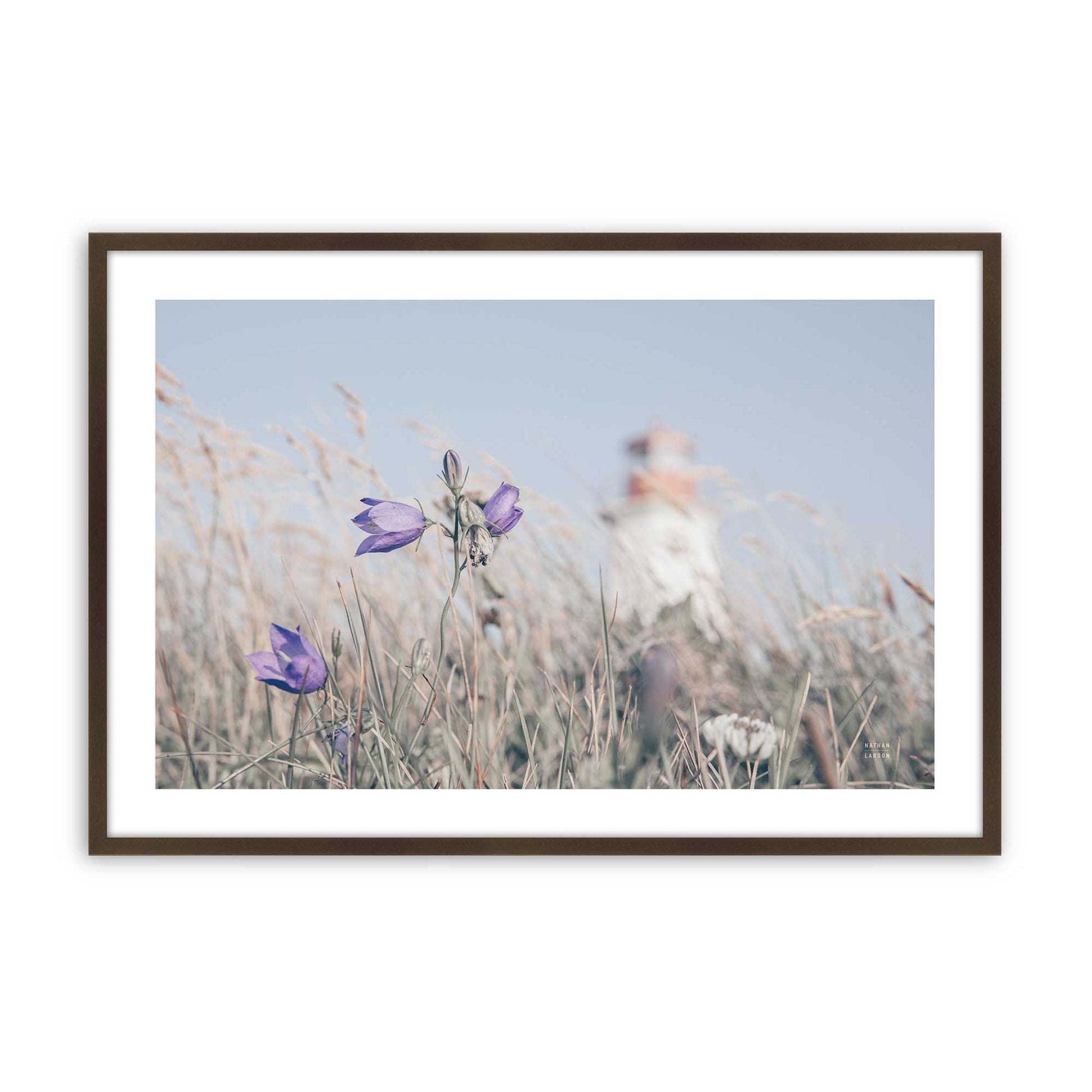 [Color:Brown], Picture of art in a Brown frame