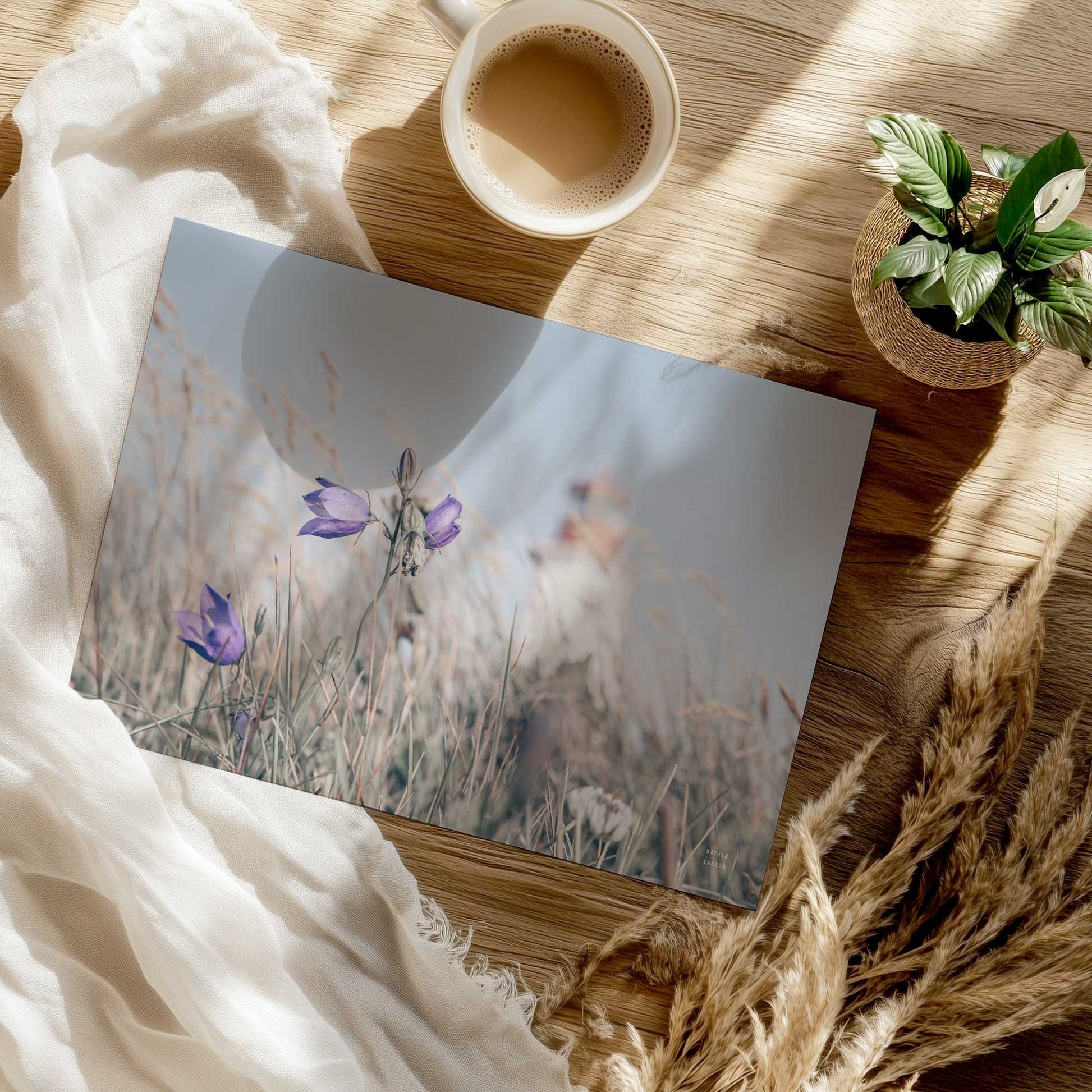 [Color:Rolled Print], Picture of close up of art