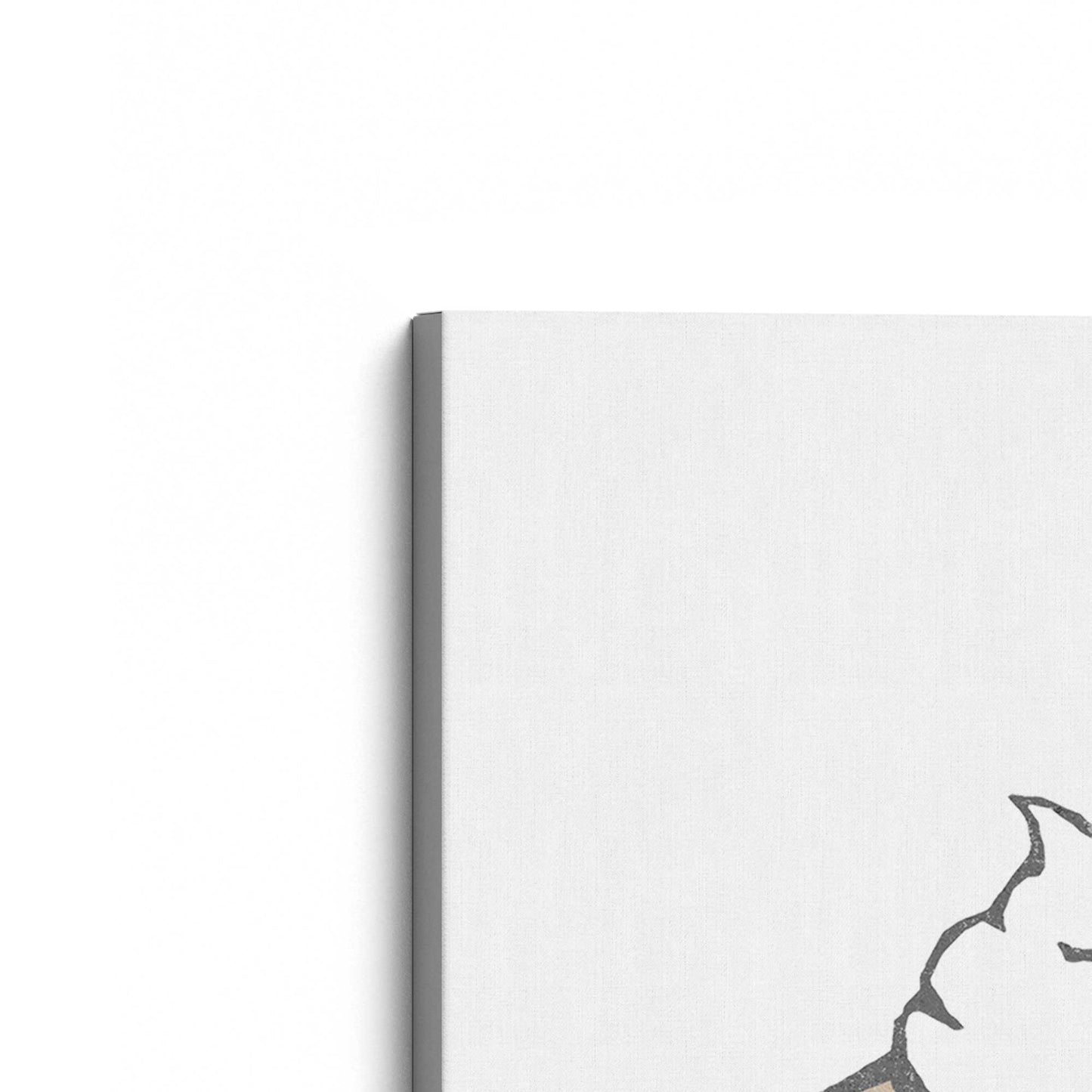 [Color:Stretched Canvas], Picture of the corner of the art