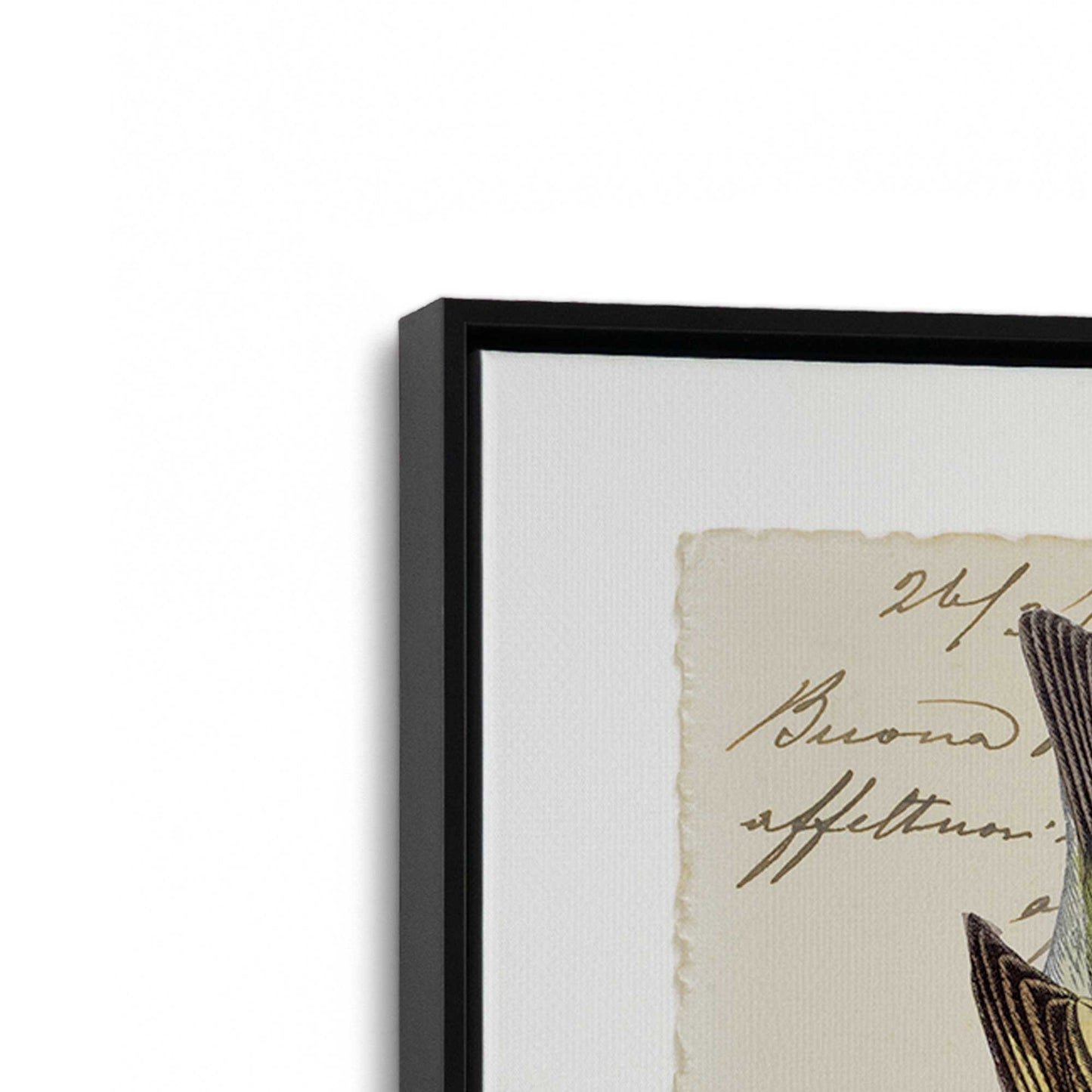 [Color:Satin Black], Picture of the corner of the art