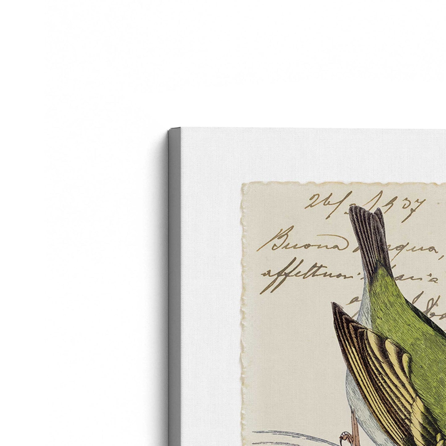 [Color:Stretched Canvas], Picture of the corner of the art