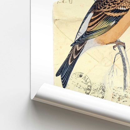 [color:Rolled Print], Picture of close up of art