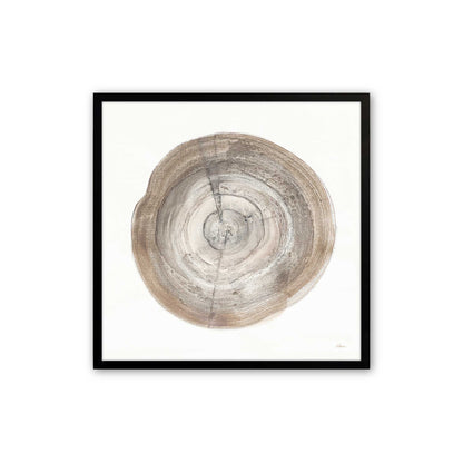 Tree Ring Portraits Art Print, Set of 4