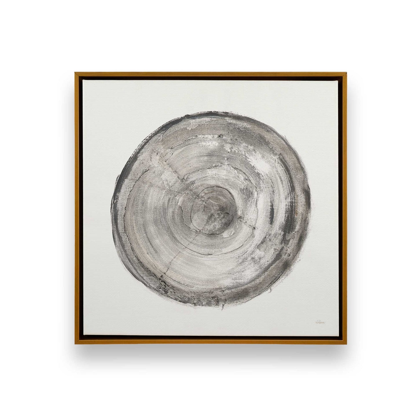 Tree Ring Portraits Canvas Print, Set of 4