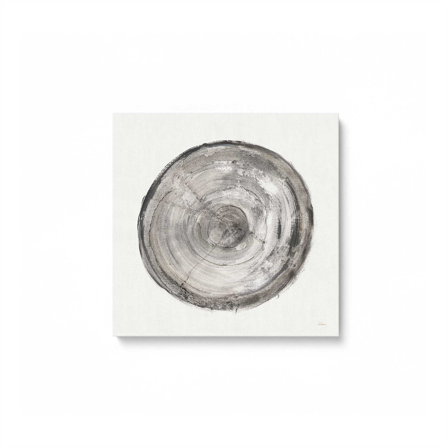 Tree Ring Portraits Canvas Print, Set of 4
