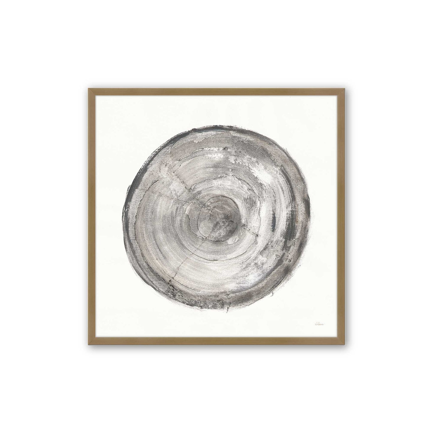 Tree Ring Portraits Art Print, Set of 4