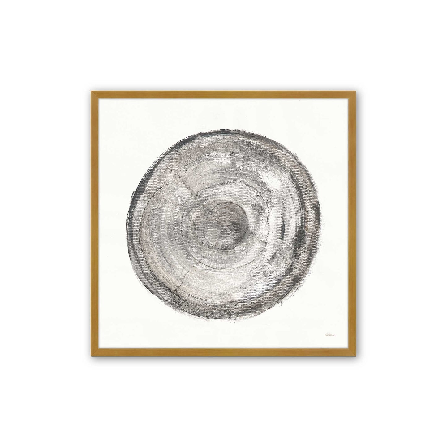 Tree Ring Portraits Art Print, Set of 4
