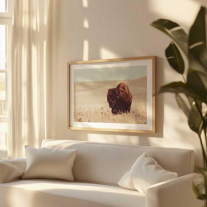 [LIFESTYLE],[SPECIAL],Picture of art in a room
