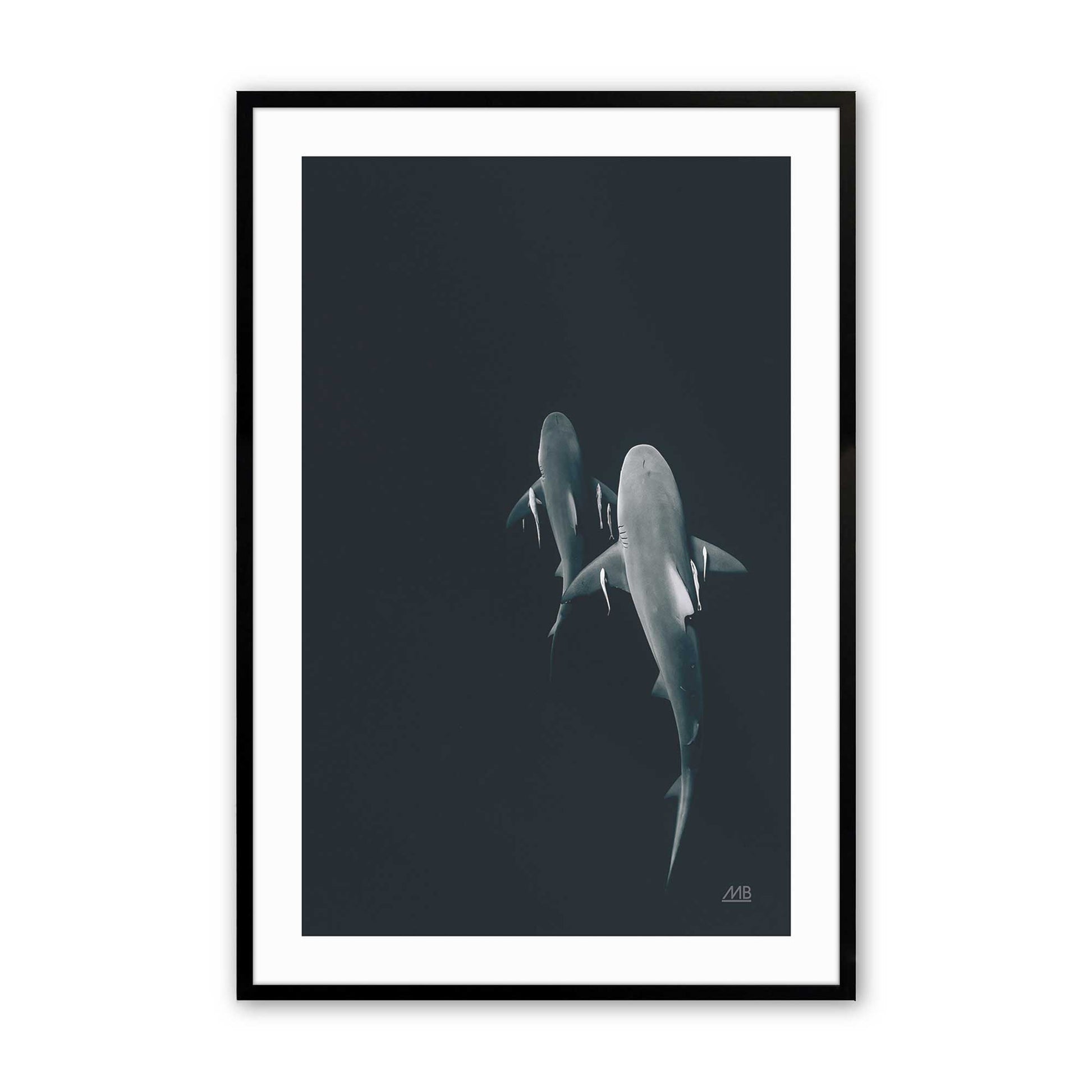 [Color:Satin Black],Front image of the art