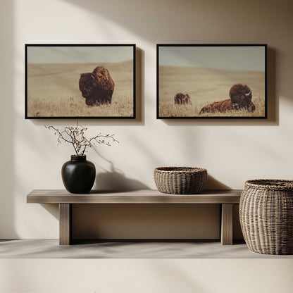 [Color:Satin Black], Picture of art in a Satin Black frame