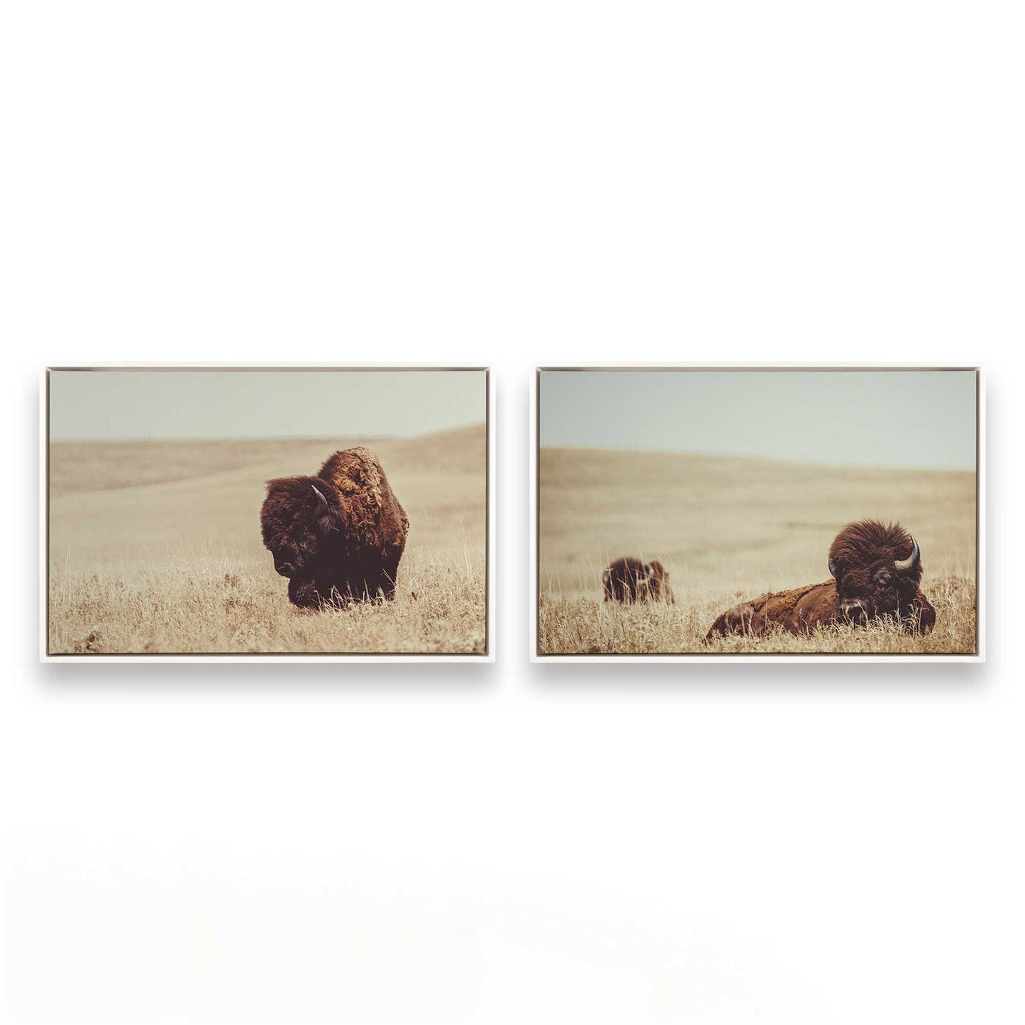 [Color:Opaque White], Picture of art in a White frame