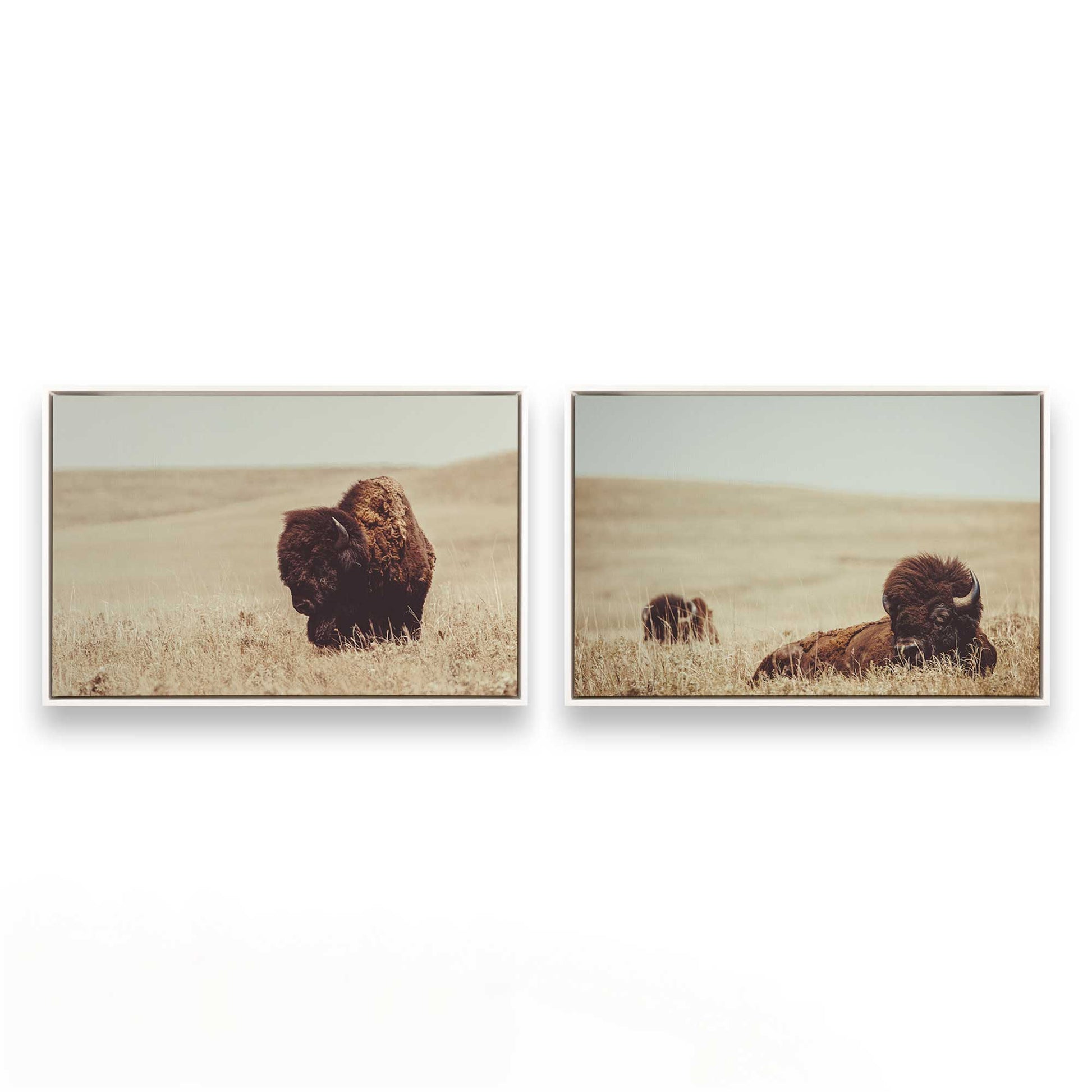 [Color:Opaque White], Picture of art in a White frame
