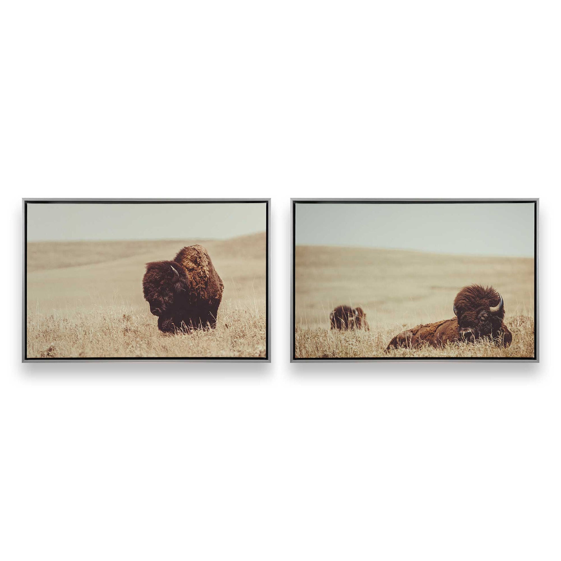 [Color:Polished Chrome], Picture of art in a Polished Chrome frame