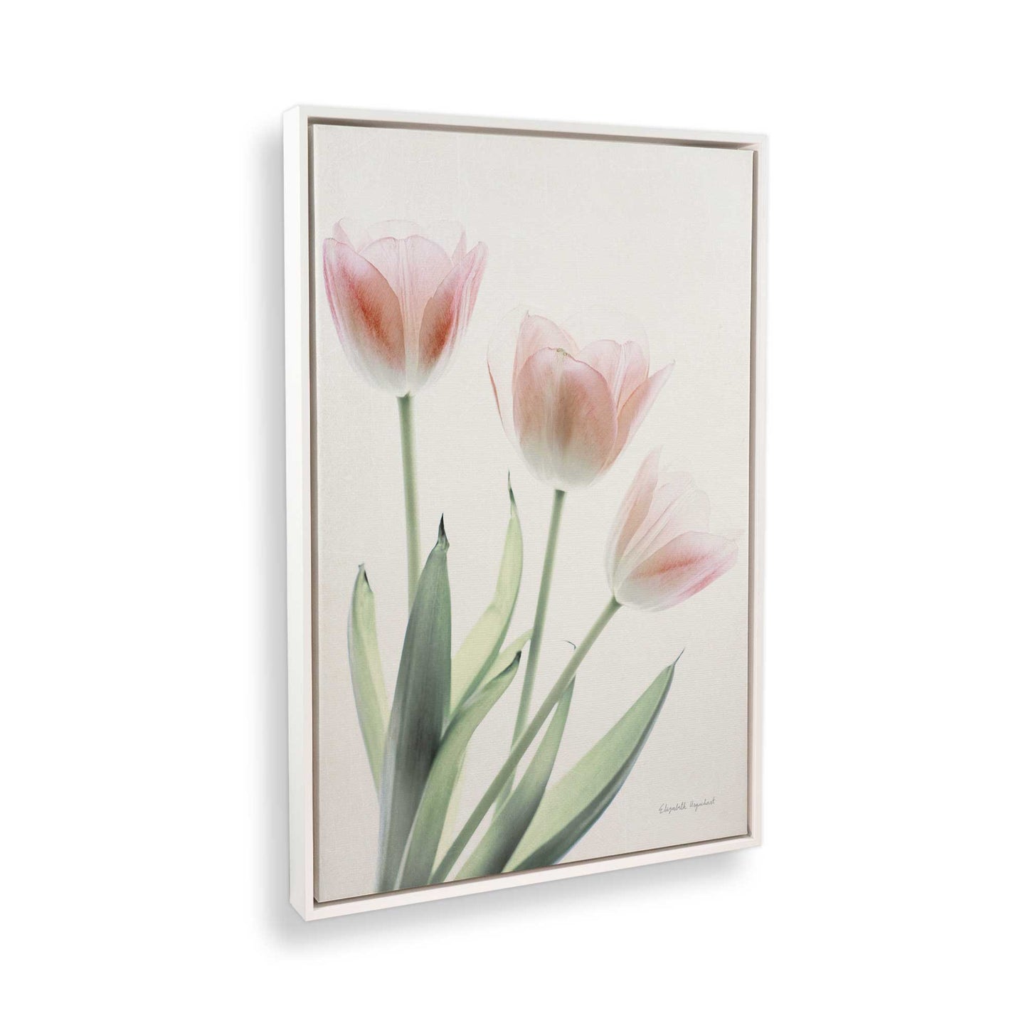 [Color:Opaque White], Picture of the corner of the art