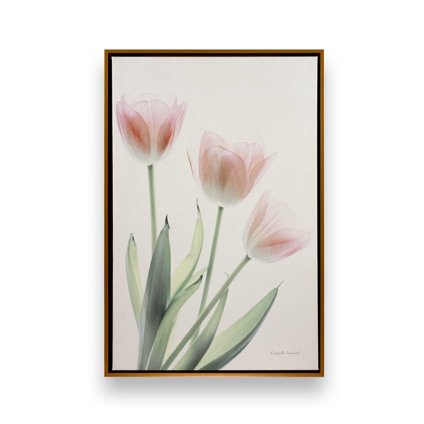 [Color:Polished Gold], Picture of art in a Polished Gold frame