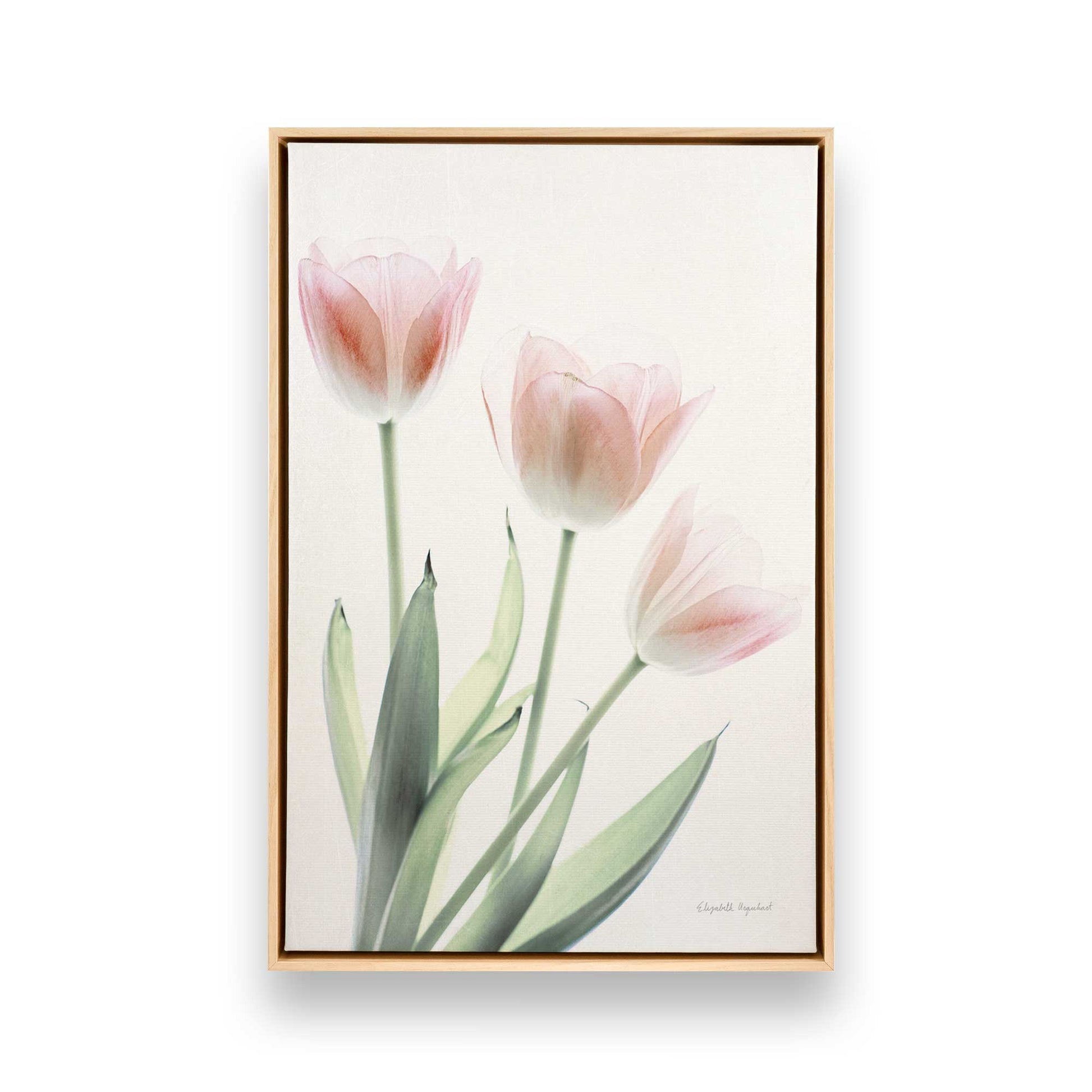 [Color:American Maple], Picture of art in a American Maple frame