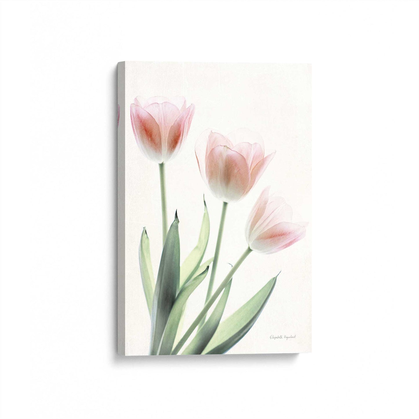 [Color:Stretched Canvas], Picture of art at an angle