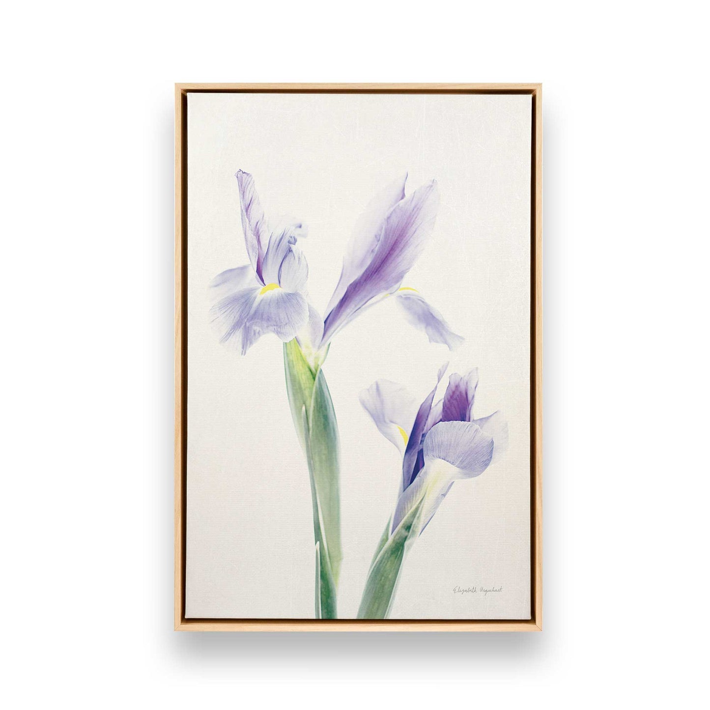 [Color:American Maple], Picture of art in a American Maple frame