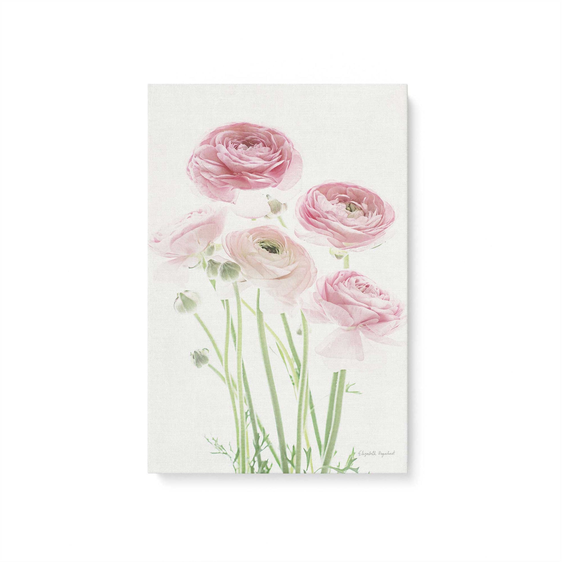 [Color:Stretched Canvas], Picture of art