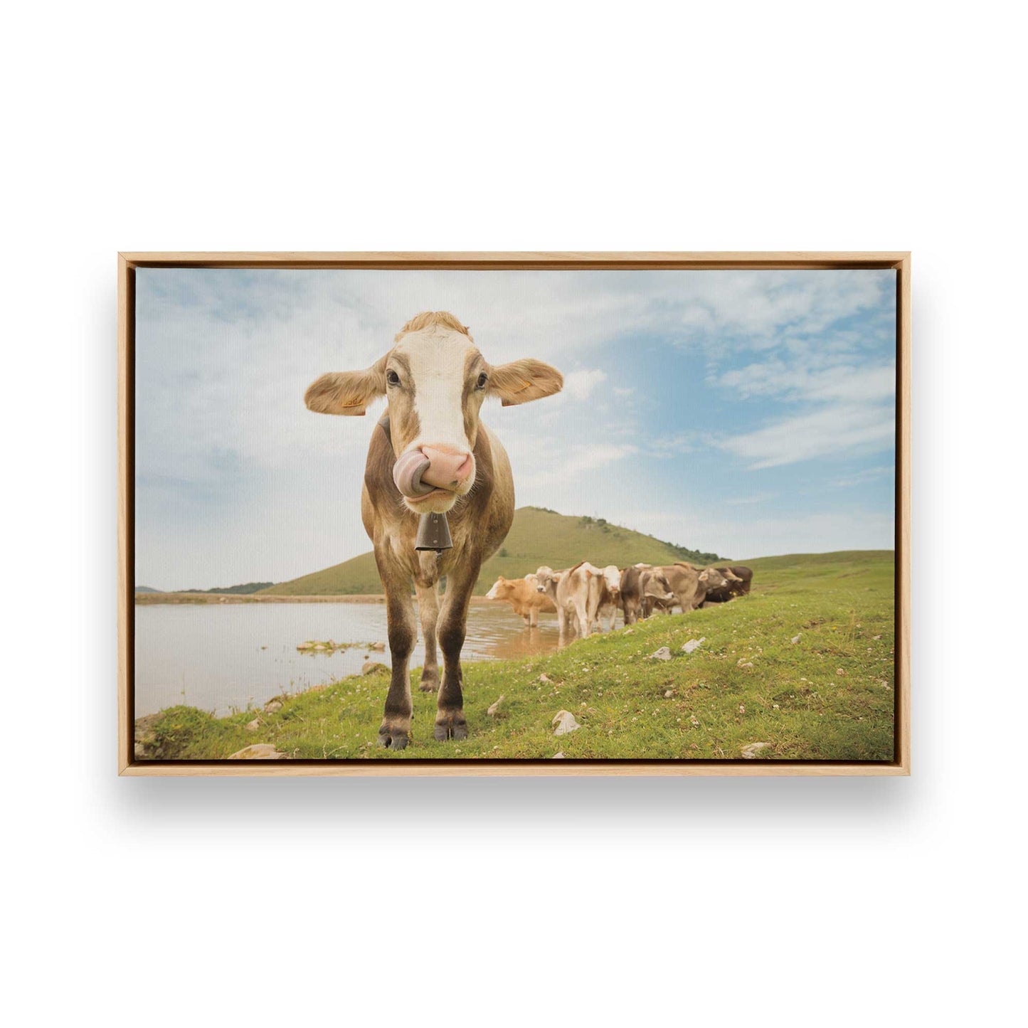 [Color:American Maple], Picture of art in a American Maple frame