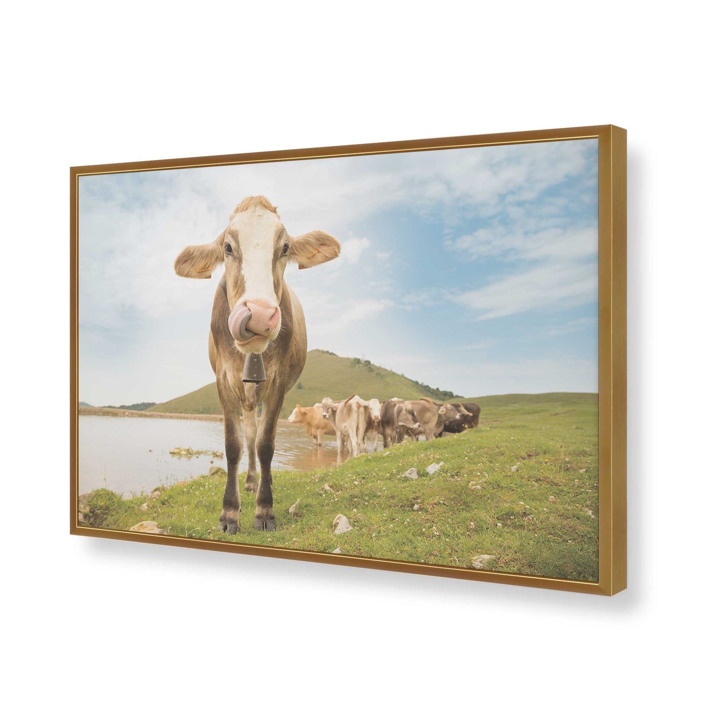 [Color:Polished Gold], Picture of art in a Polished Gold frame of the corner