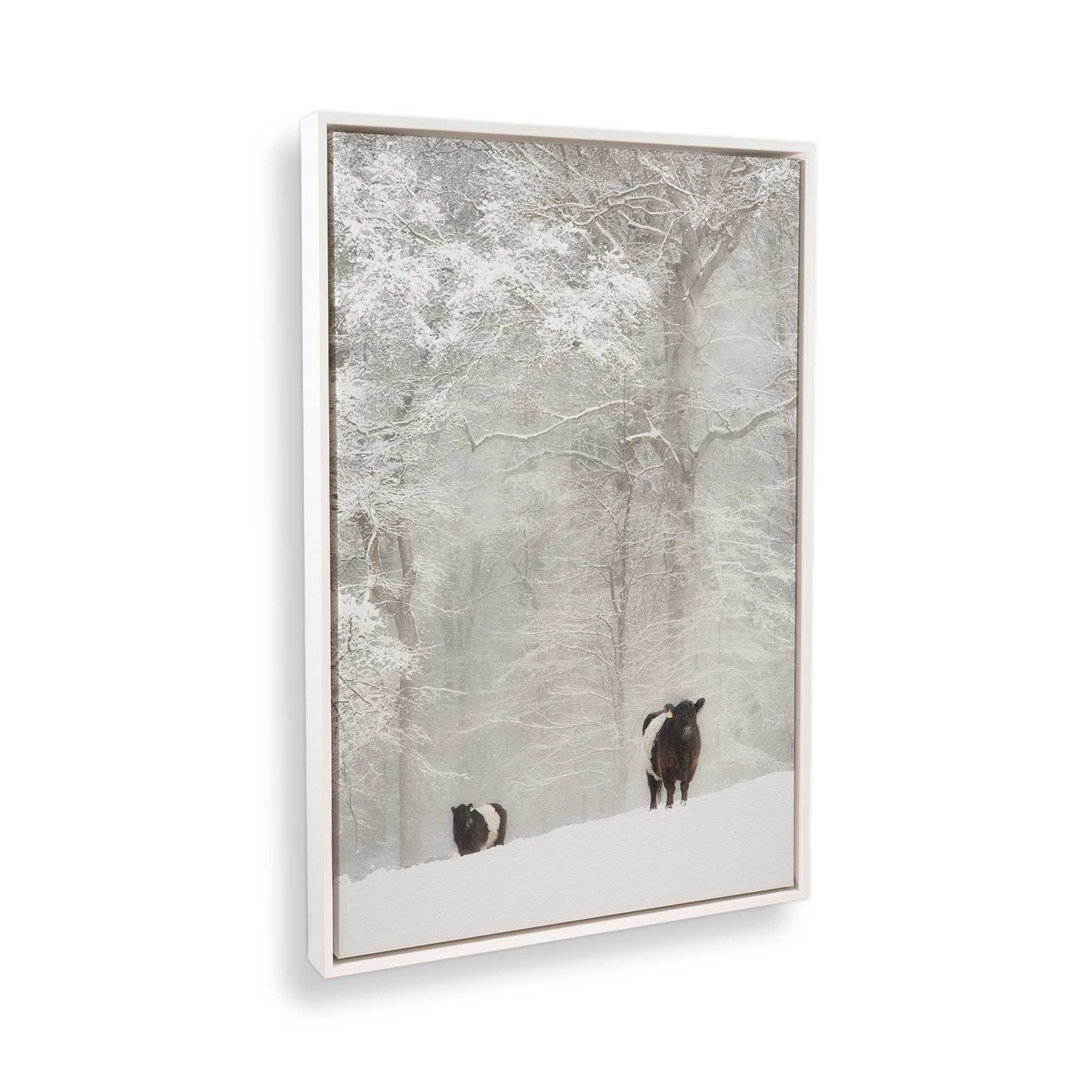 [Color:Opaque White], Picture of the corner of the art