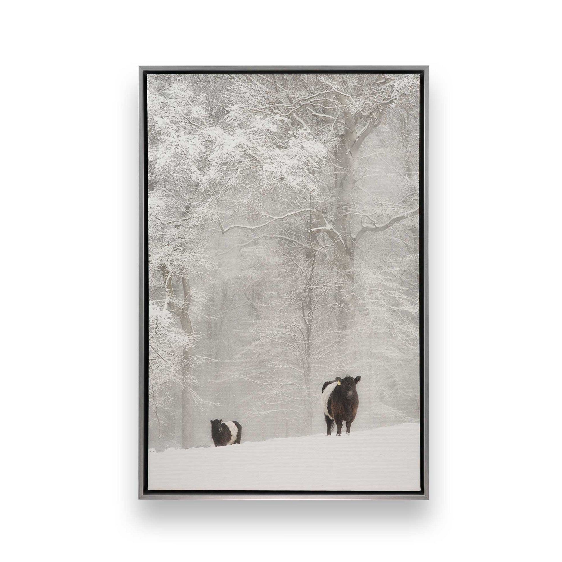 [Color:Polished Chrome], Picture of art in a Polished Chrome frame