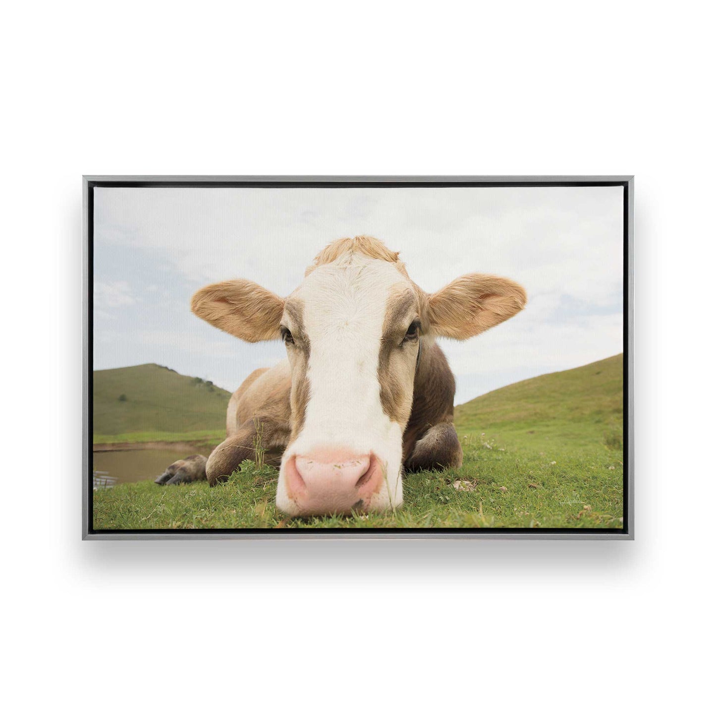 [Color:Polished Chrome], Picture of art in a Polished Chrome frame