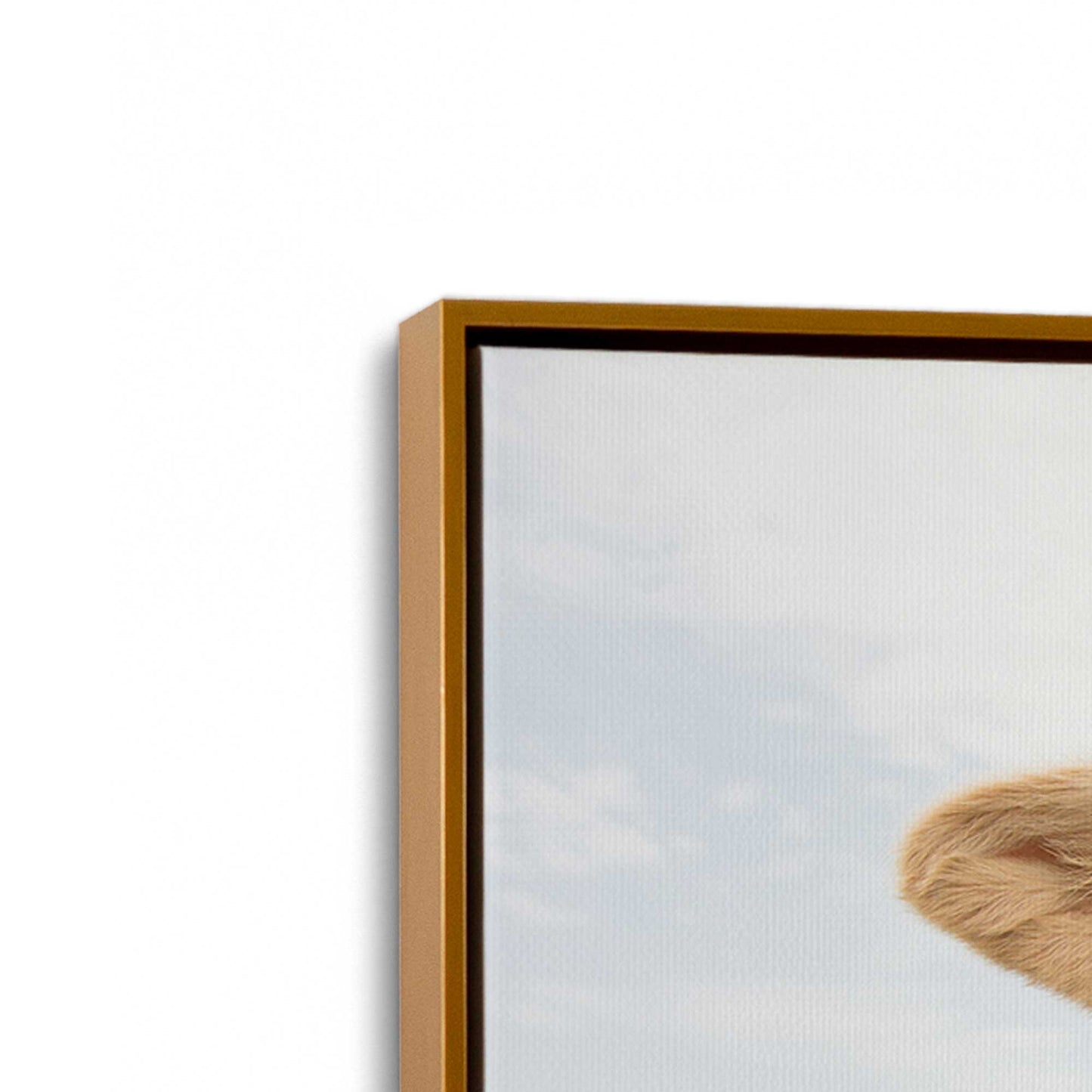 [Color:Polished Gold], Picture of art in a Polished Gold frame at an angle
