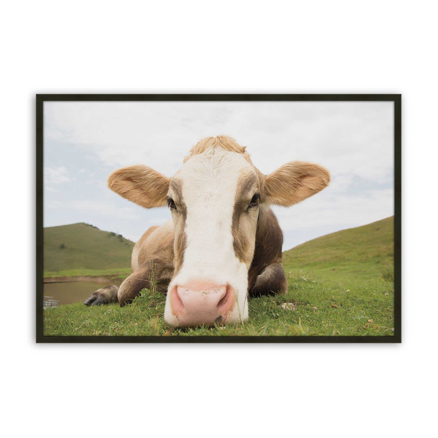 [Color:Satin Black], Picture of art in a Satin Black frame