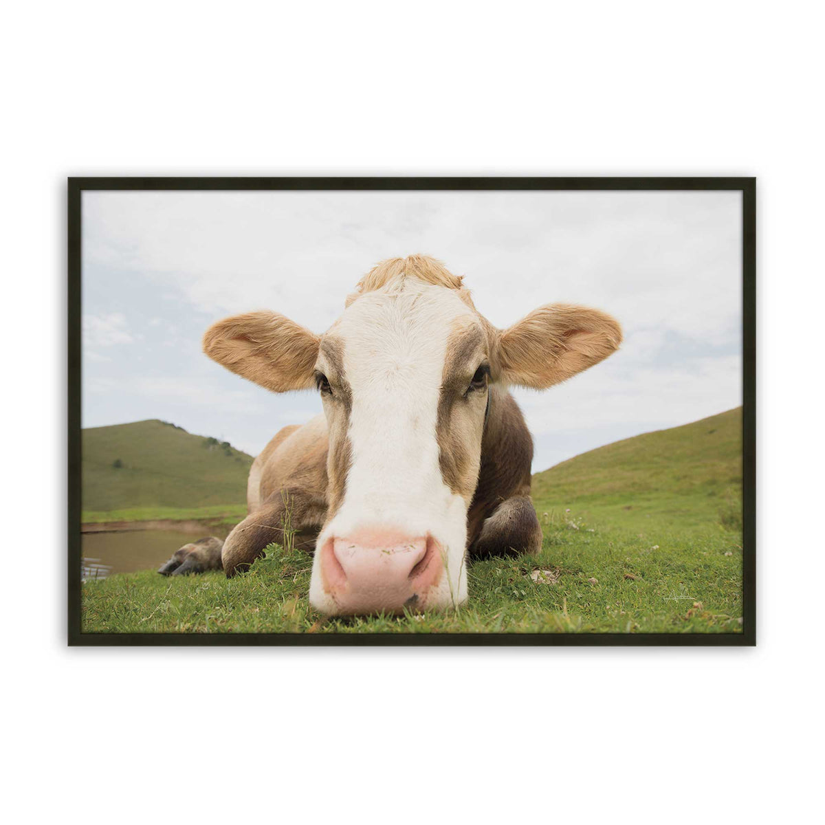 [Color:Satin Black], Picture of art in a Satin Black frame