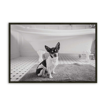 [Color:Satin Black], Picture of art in a Satin Black frame