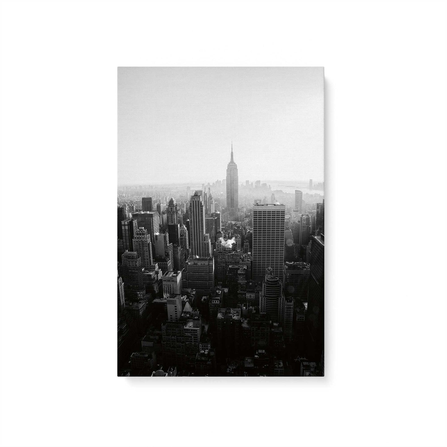 [Color:Stretched Canvas], Picture of art