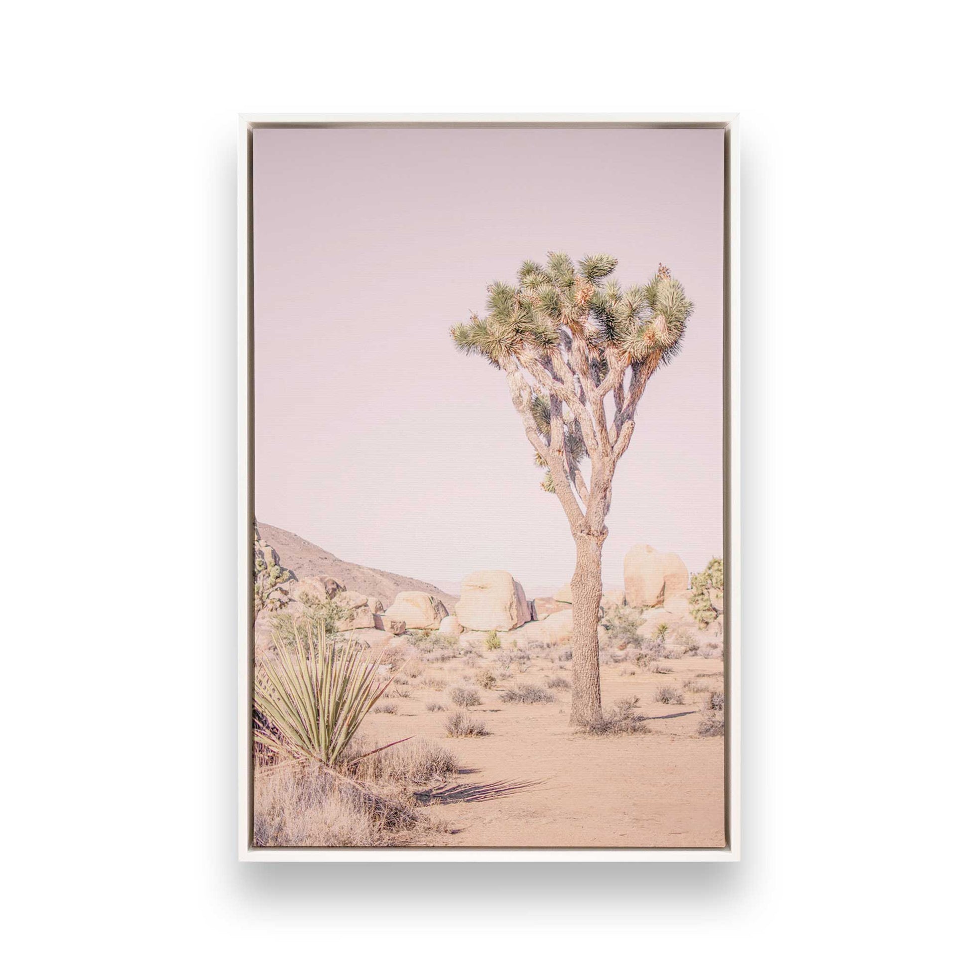 [Color:Opaque White], Picture of art in a White frame