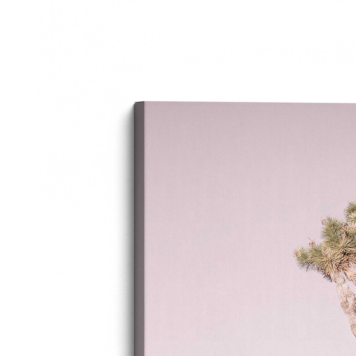 [Color:Stretched Canvas], Picture of the corner of the art