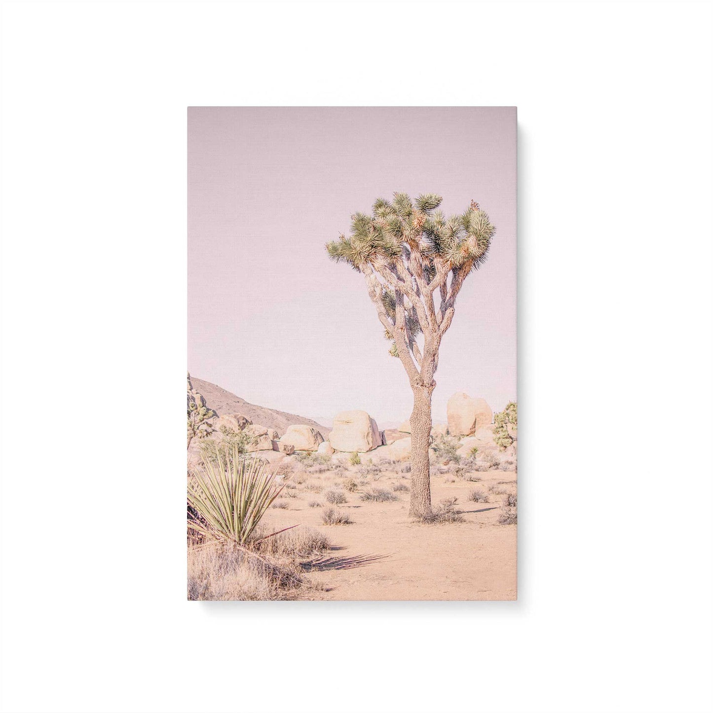 [Color:Stretched Canvas], Picture of art