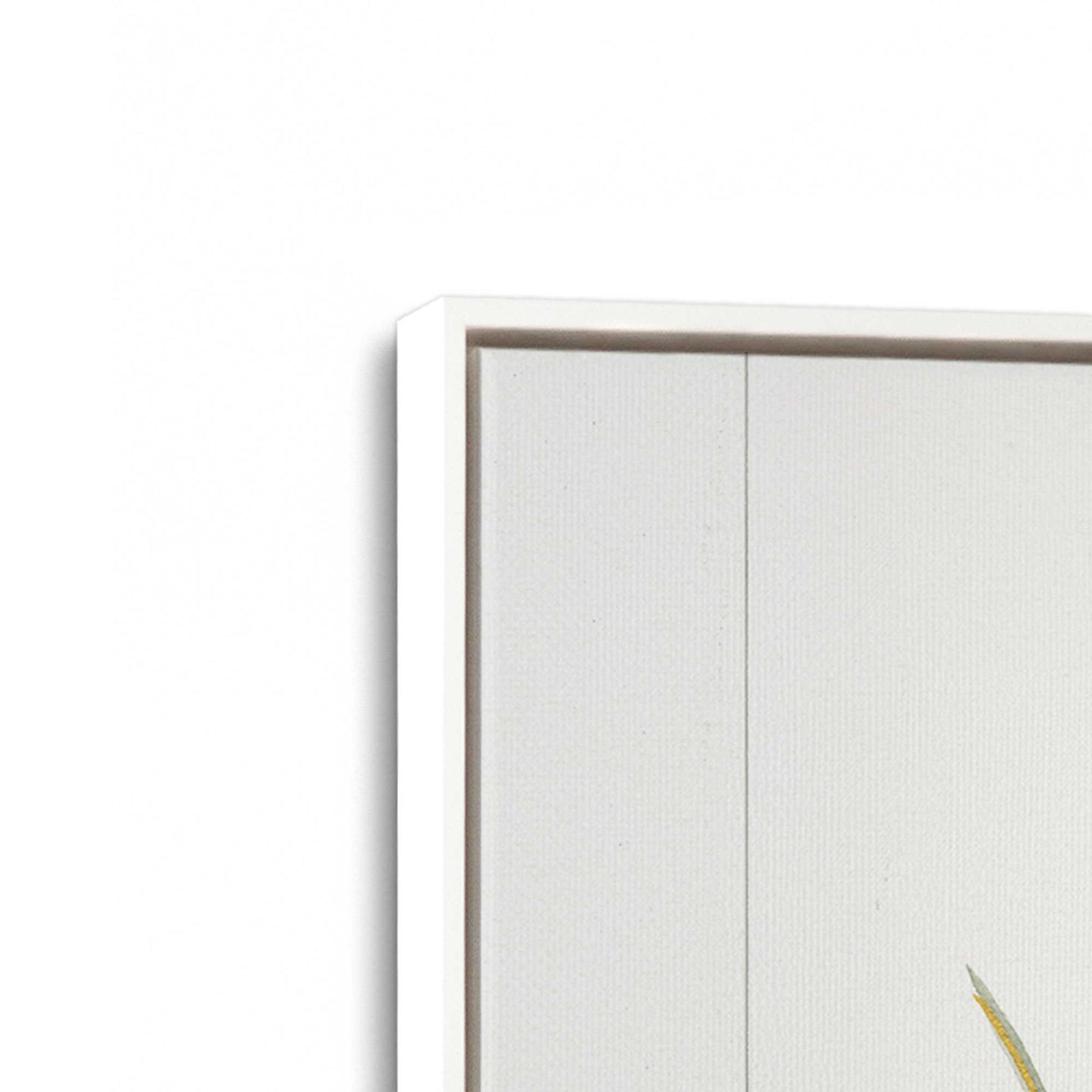 [Color:Opaque White], Picture of art in a White frame at an angle