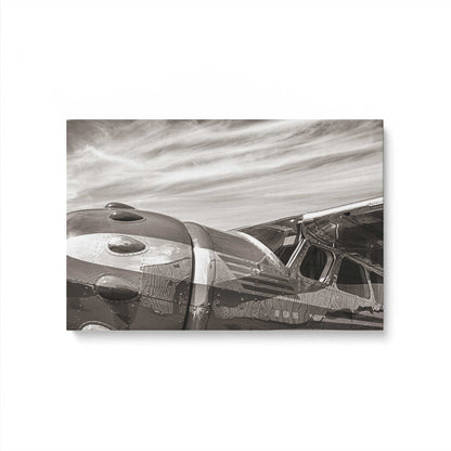 [Color:Stretched Canvas], Picture of art