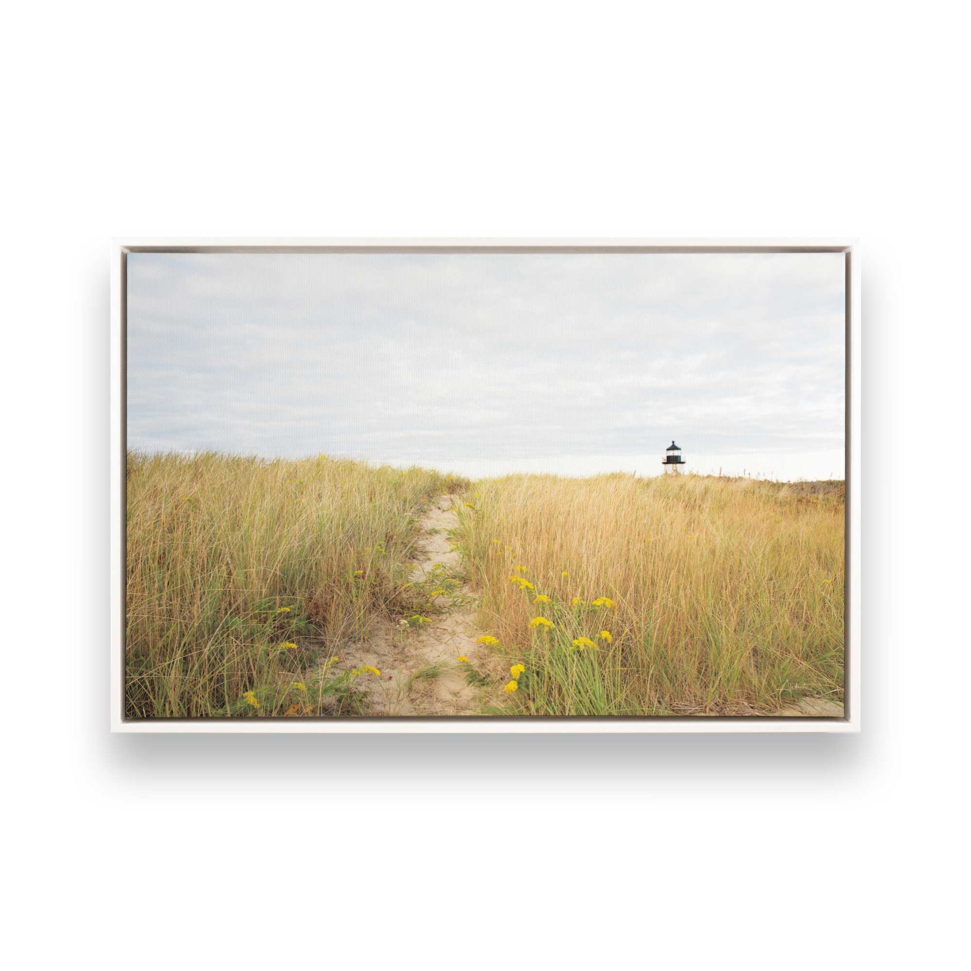 [Color:Opaque White], Picture of art in a White frame