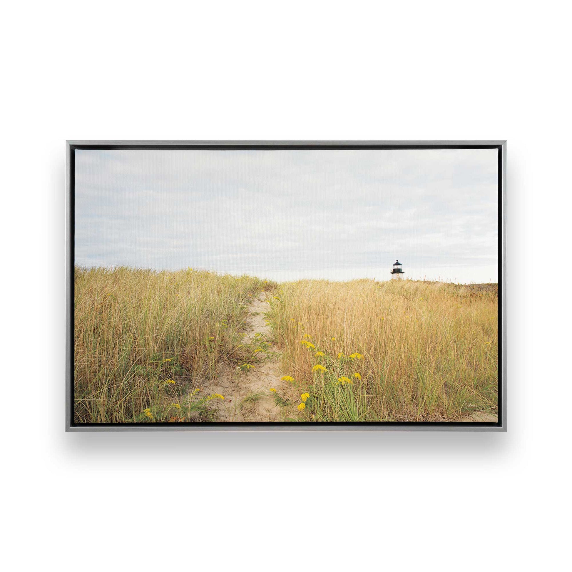 [Color:Polished Chrome], Picture of art in a Polished Chrome frame