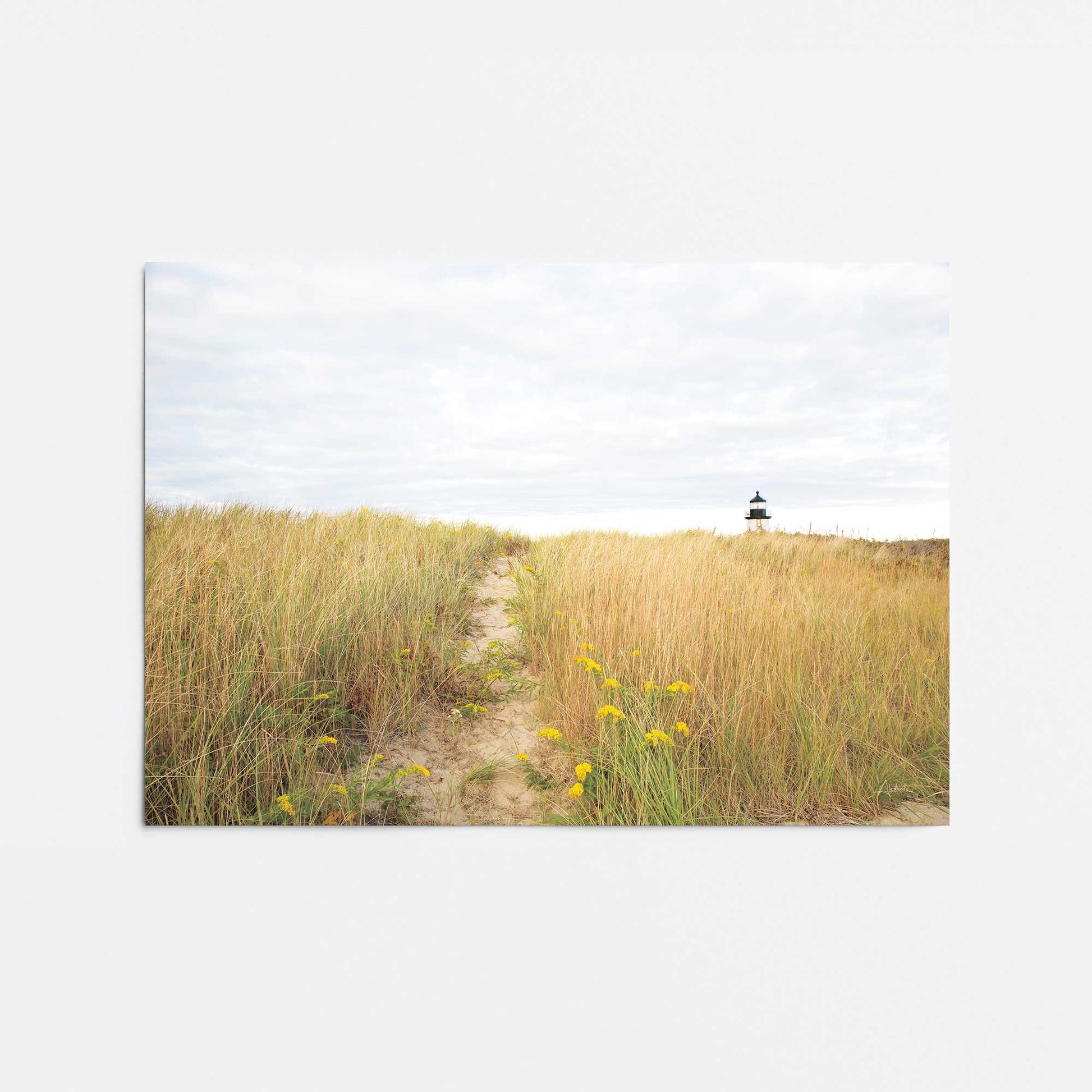 [Color:Rolled Print], Picture of close up of art